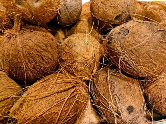 Coconuts